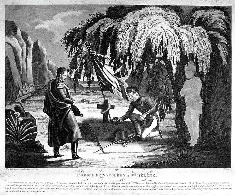 The Ghost Of Napoleon On St Helena Drawing by Print Collector