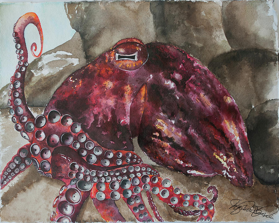 The Giant Pacific Octopus Octopus Painting By Jacqueline Bonciolini ...