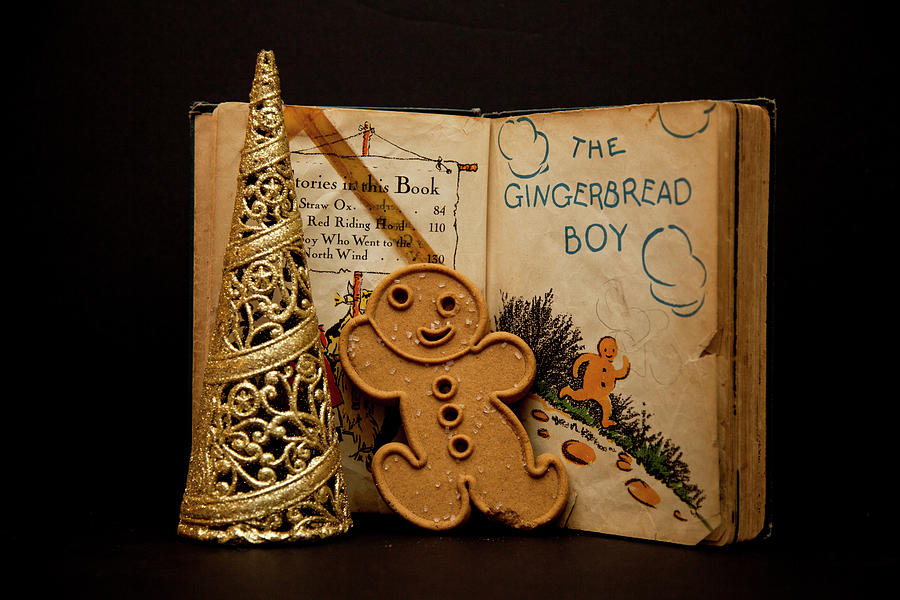 The Gingerbread Boy Photograph by Toni Hopper