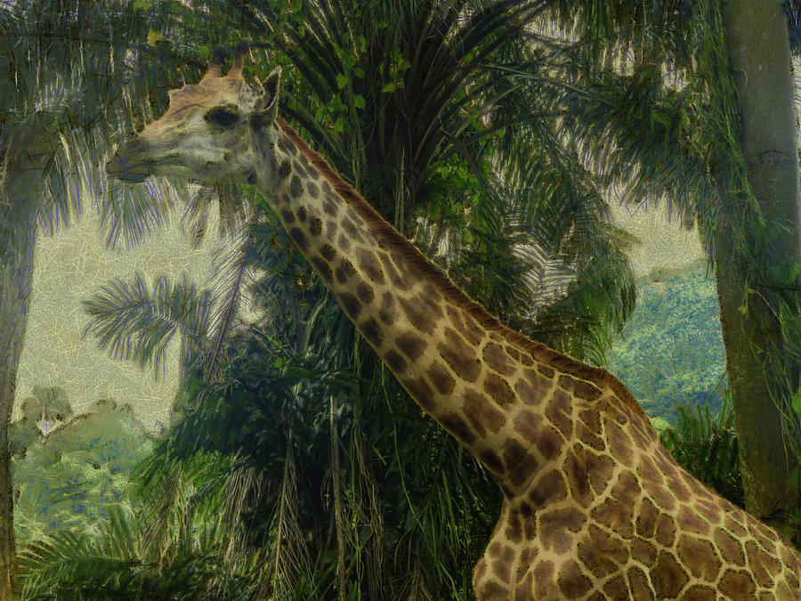 The Giraffe Digital Art by Steve Taylor