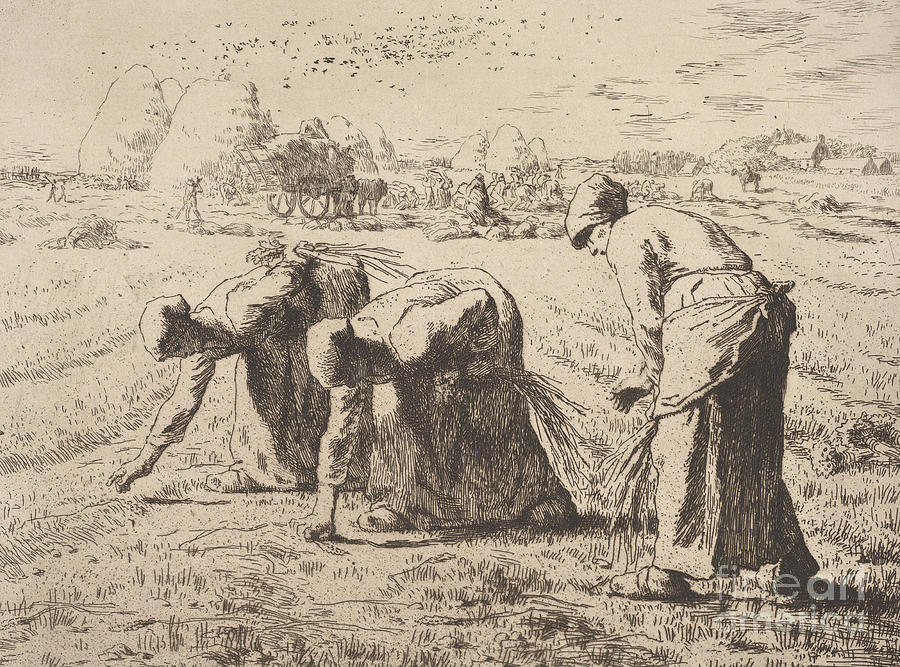 The Gleaners  Etching by Millet Drawing by Jean Francois Millet