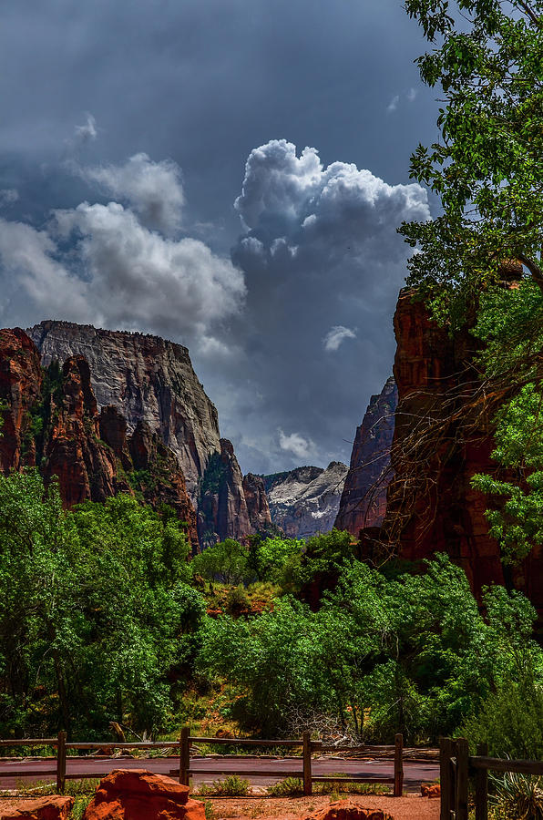The Glory of Zion National Park Photograph by Douglas Wielfaert