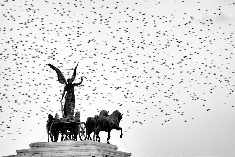 Italy, Rome - The goddess and the starlings Photograph by Fabrizio Troiani