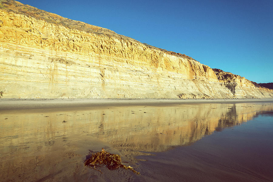 Inspirational Photograph - The Golden Bluffs At Torrey Pines 2 by Joseph S Giacalone