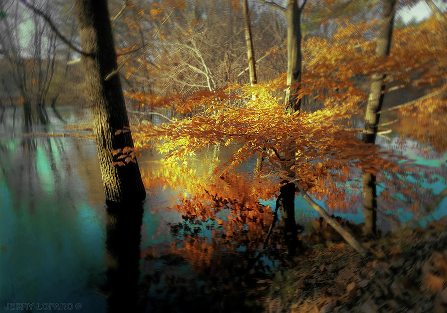 Fall Photograph - The Golden Bough by Jerry LoFaro
