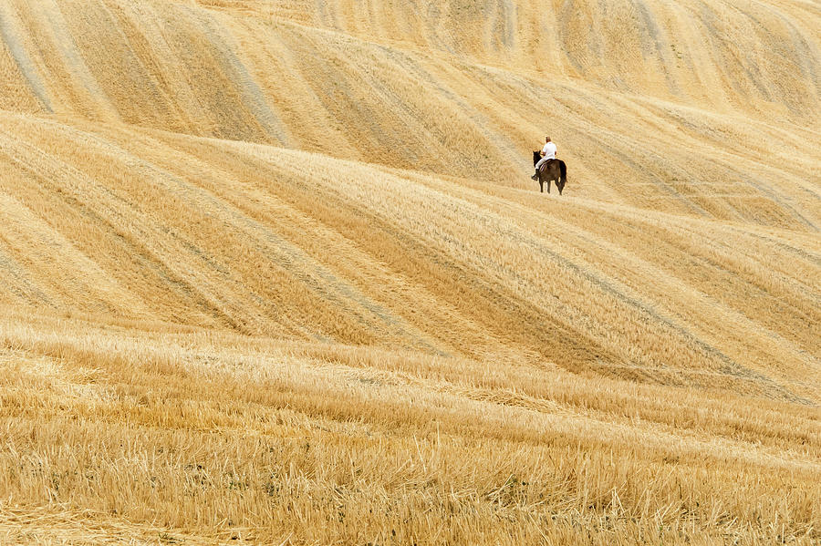The Golden Fields Of Tuscany Photograph by Henrique Feliciano Photography
