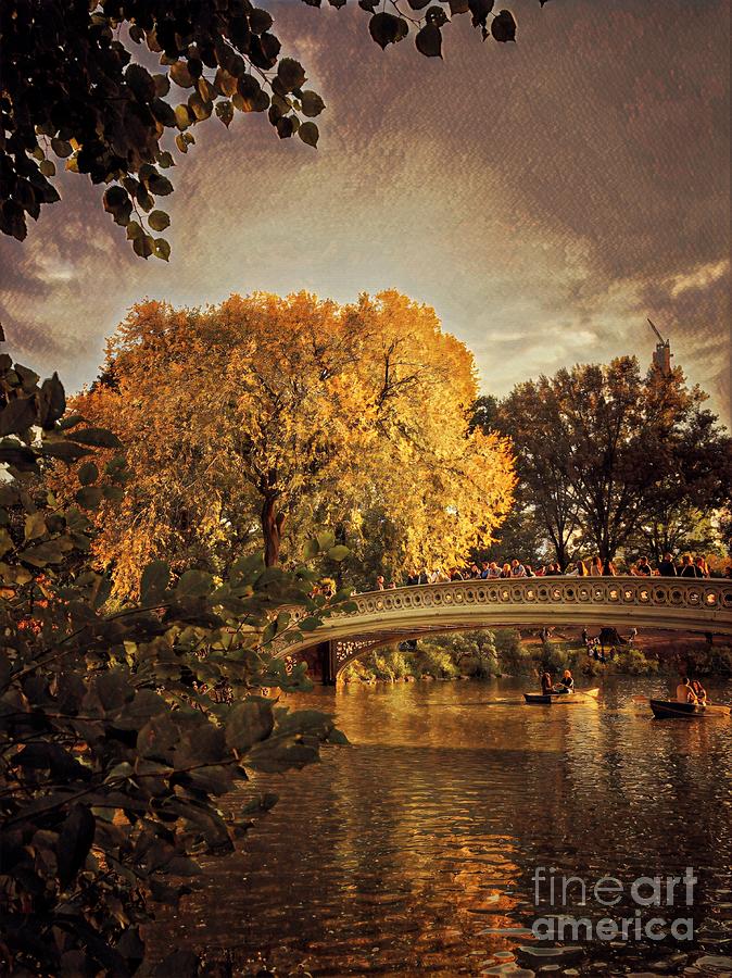 The Golden Hour - Central Park in Fall Photograph by Miriam Danar