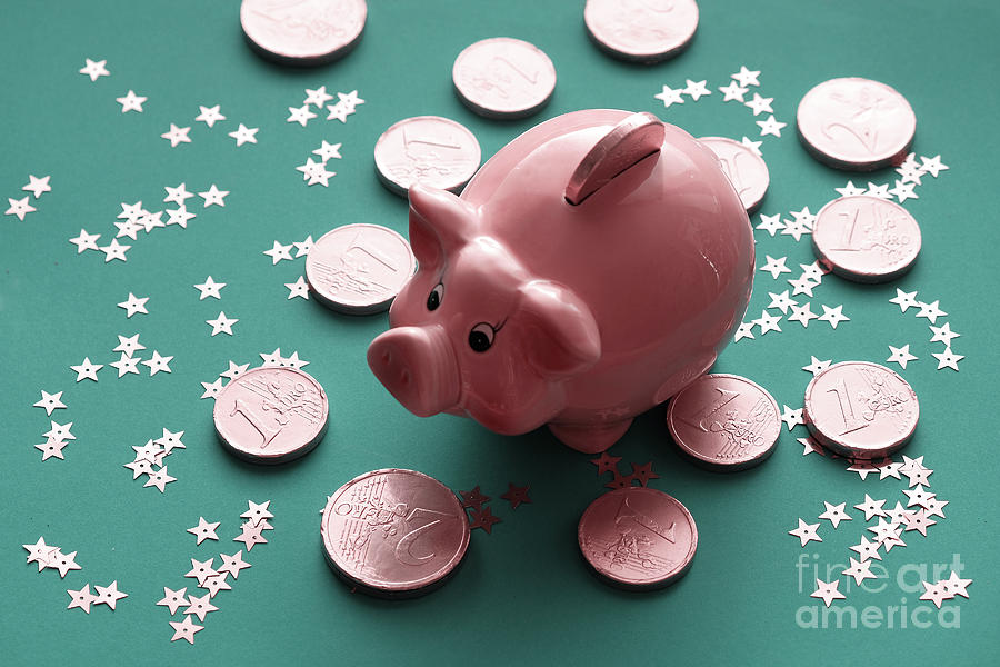 The Golden Pig  New Year.Traditional chinese symbol piggy bank Photograph by Marina Usmanskaya