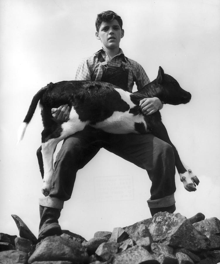 The Good Cowherd Photograph by Erich Auerbach