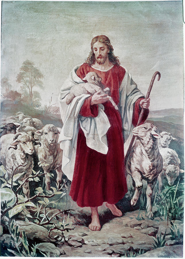 The Good Shepherd By Plockhorst Painting by Bernhard Plockhorst | Pixels