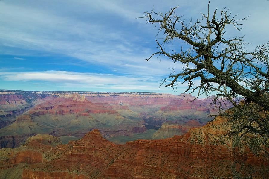 The Grand Canyon, Grand Canyon National Photograph by Design Pics / Aplights