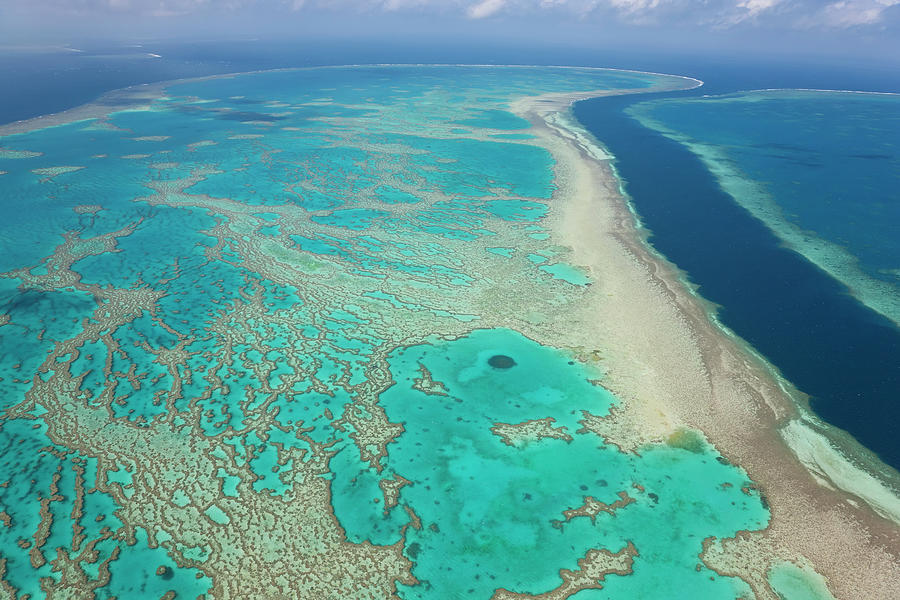 The Great Barrier Reef, Queensland Photograph by Peter Adams