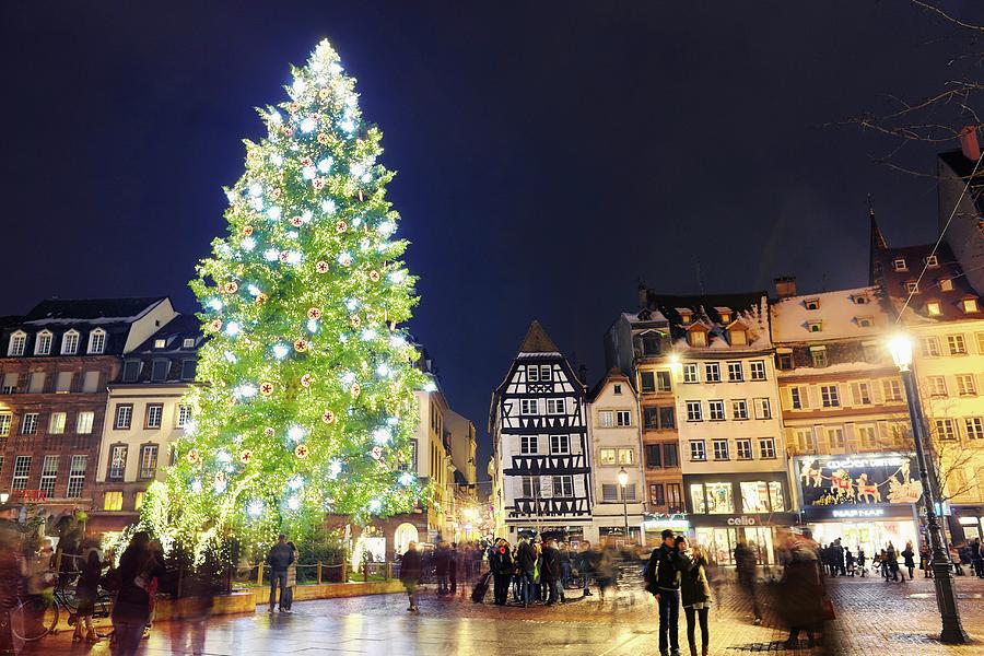 The Great Christmas Tree In Place Photograph by Facto Foto - Fine Art ...