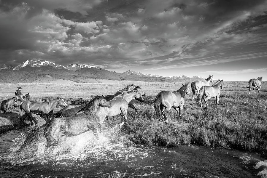 Black And White Photograph - The Great Cool Off by Dan Ballard