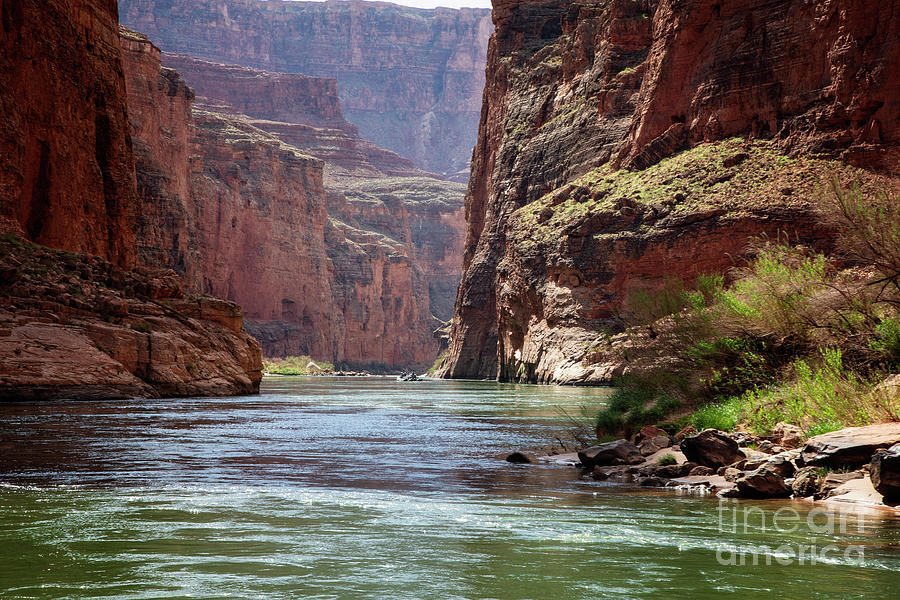 The Great Float by Scott Kemper The Great Float by Scott Kemper