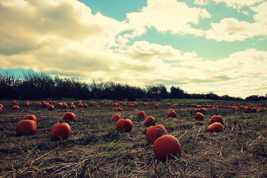 The Great Pumpkin by Candice Trimble The Great Pumpkin by Candice Trimble