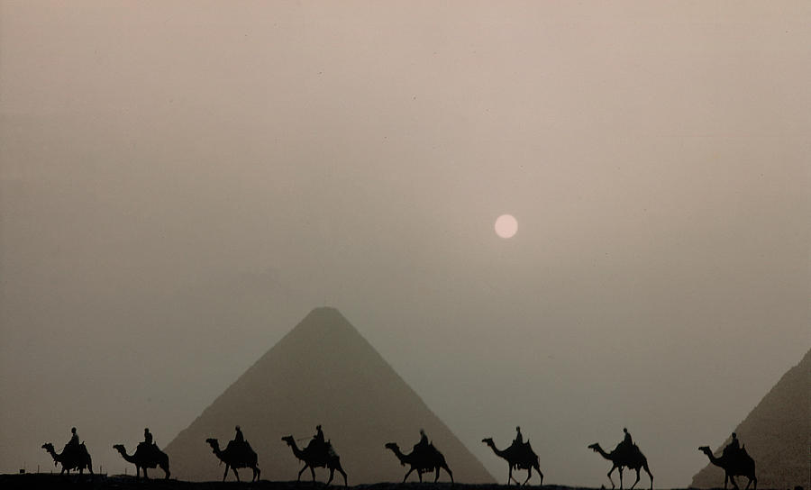 Desert Photograph - The Great Pyramid Of Giza by Eliot Elisofon