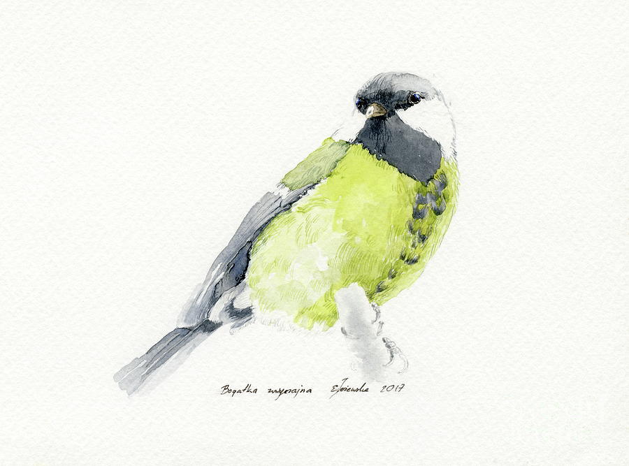 The Great Tit Female Painting