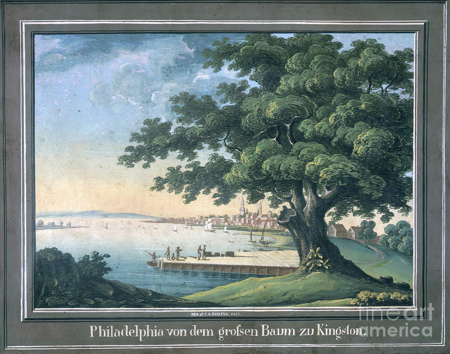 The Great Tree Of Kingston With A View Of Philadelphia Behind Painting ...