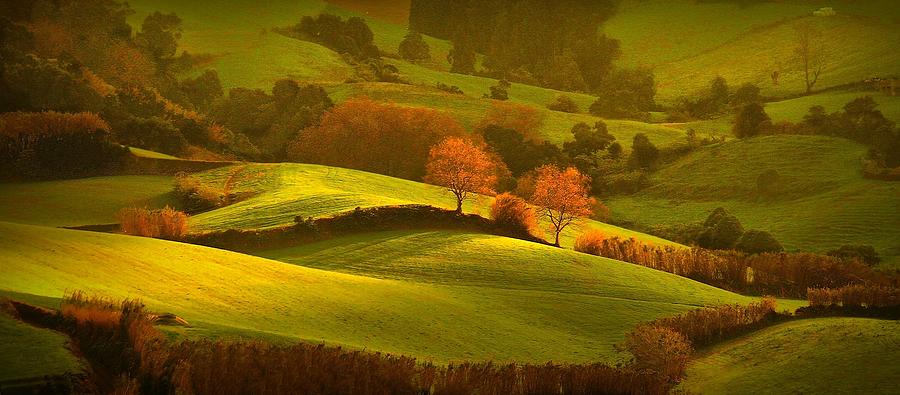 The Green And Golden Fields Photograph by Redbenjamim Leandro De Medeiros