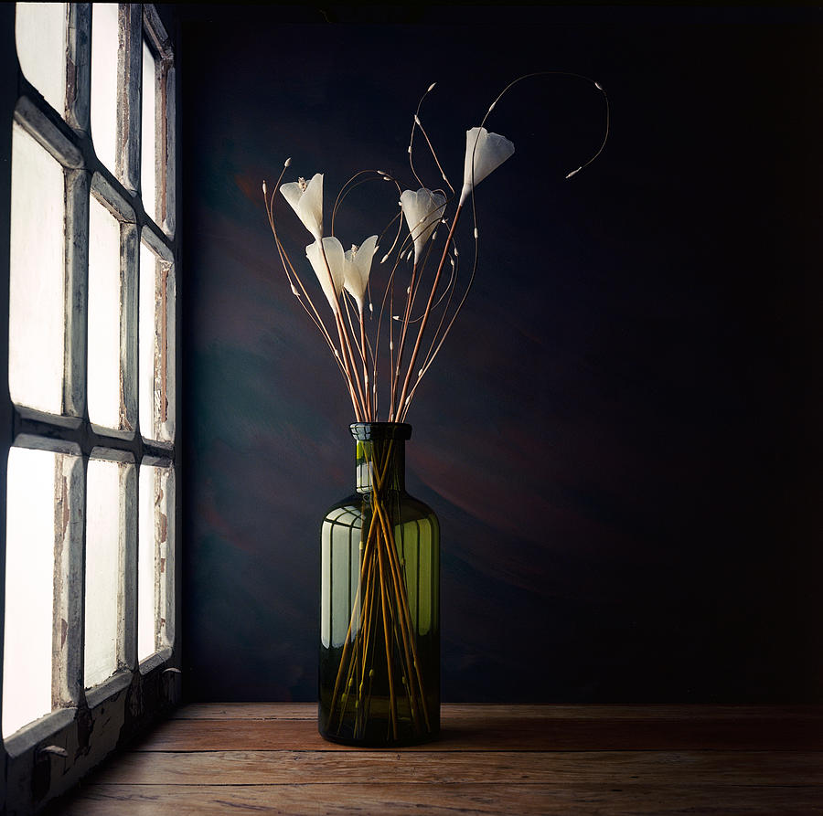 Flower Photograph - The Green Bottle by Luiz Laercio
