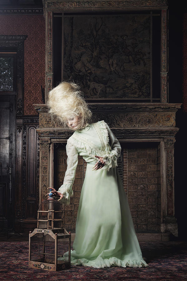 Birdcage Photograph - The Green Dress by Monika Vanhercke
