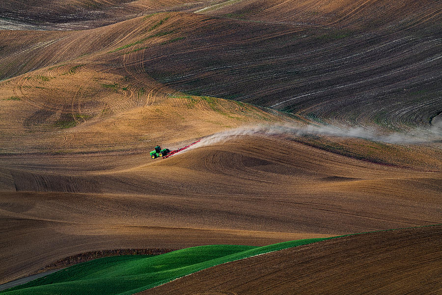 The Green Planter Photograph by Renzi