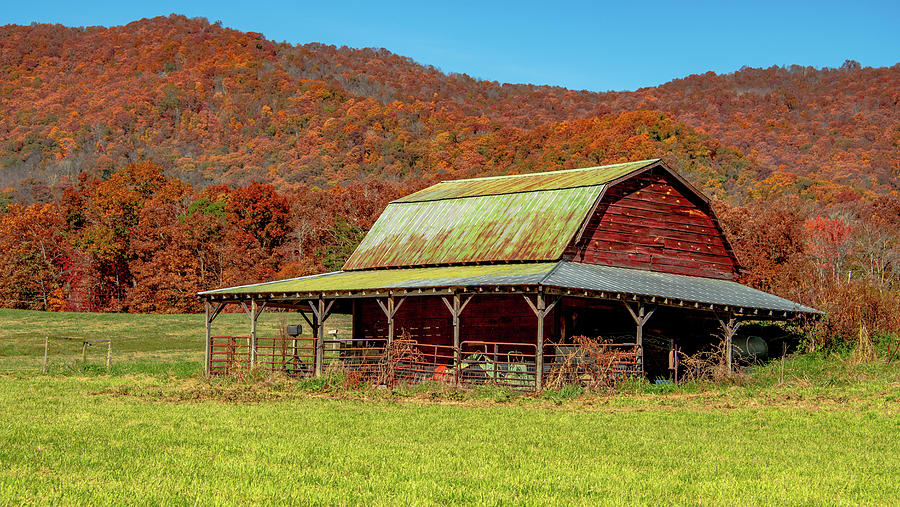 The Green Tin Roof Photograph by Marcy Wielfaert