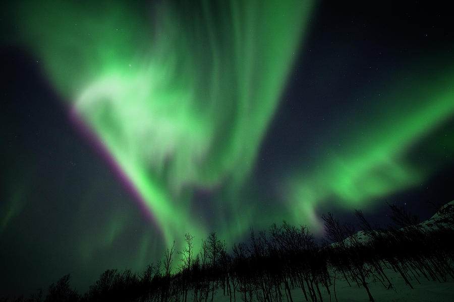 The green veil Photograph by Vessela Banzourkova