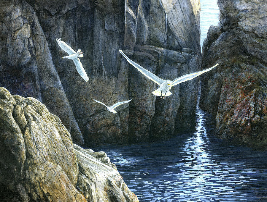 Seagull Painting - The Gulls Of Puplit Rock by John Morrow