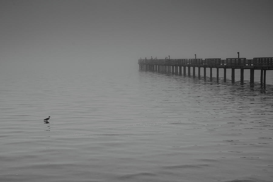 The Harbor in the Fog Photograph by Mitch Spence