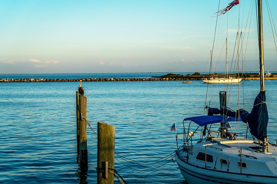 Water Photograph - The Harbor by Ric Schafer Water Photograph - The Harbor by Ric Schafer