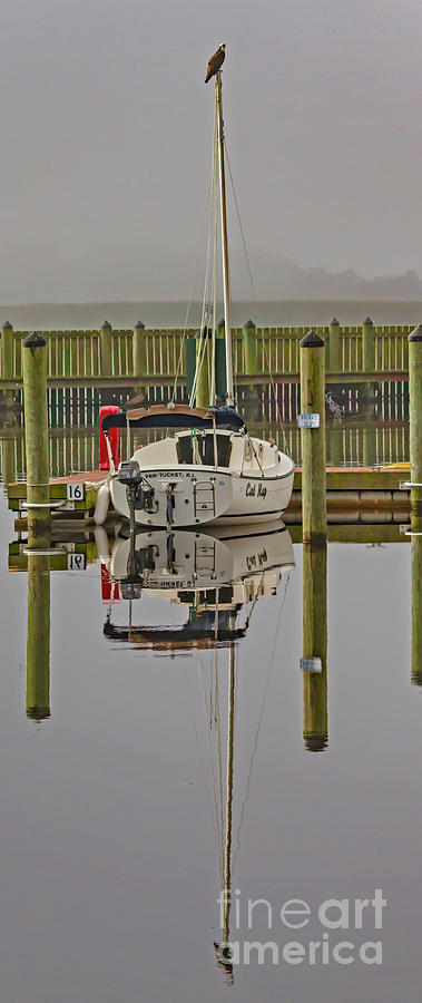 Osprey Photograph - The Harbormaster by Blair Howell Osprey Photograph - The Harbormaster by Blair Howell