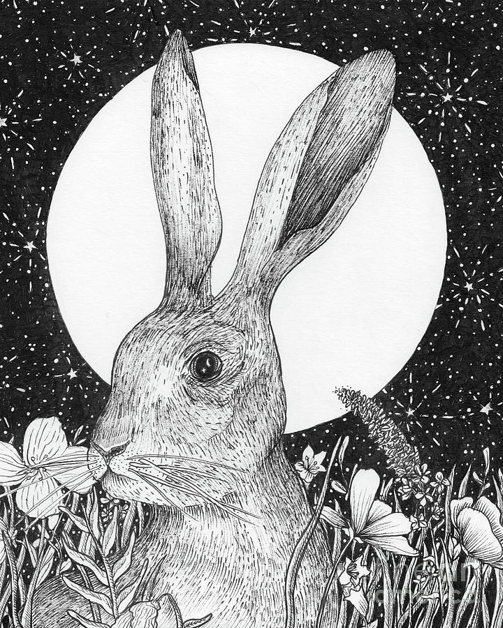 The Hare And The Moon Drawing By Ella Mazur