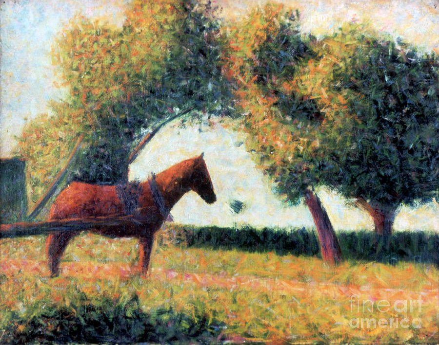 The Harnessed Horse, 1883. Artist Drawing by Print Collector