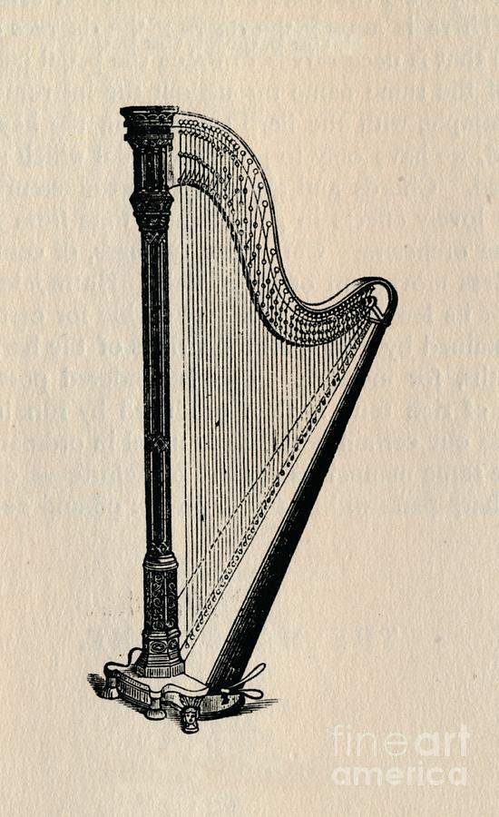 The Harp Drawing by Print Collector