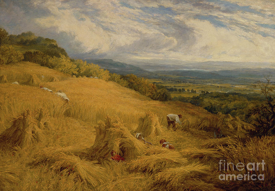 The Harvest By Charles Henry Passey Painting by Charles Henry Passey