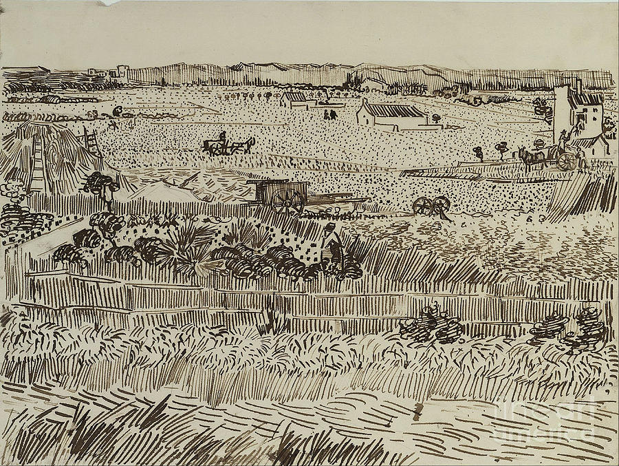 The Harvest In Provence For Émile Drawing by Heritage Images