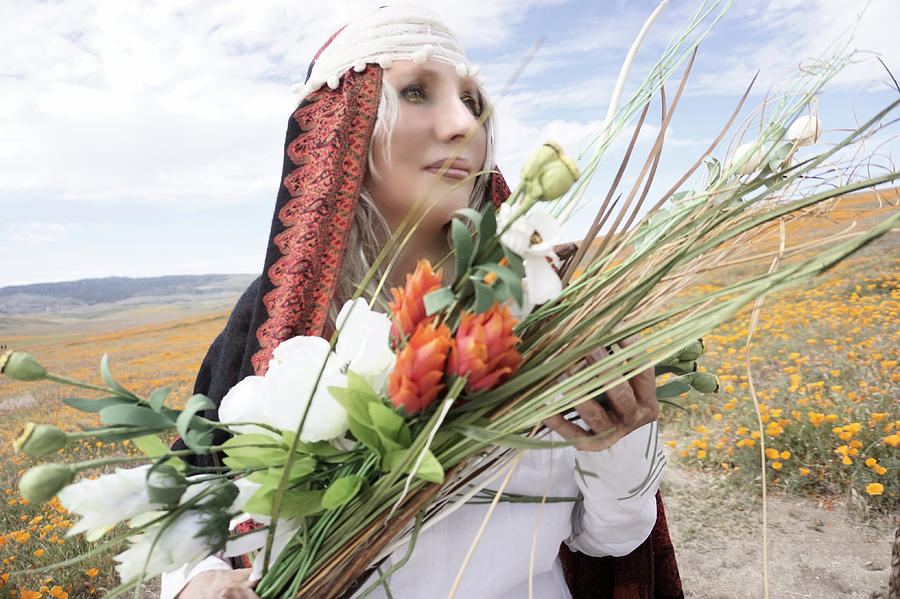 The Harvest Photograph by Karen St Claire - Fine Art America