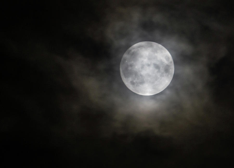 The Harvest Moon Photograph by Angie Purcell - Fine Art America