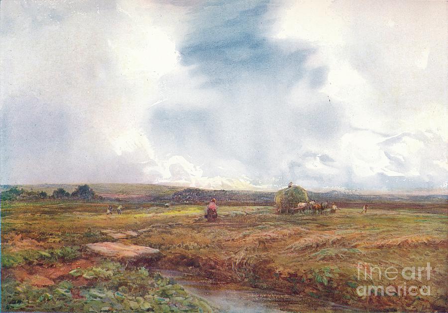The Hayfield Drawing by Print Collector