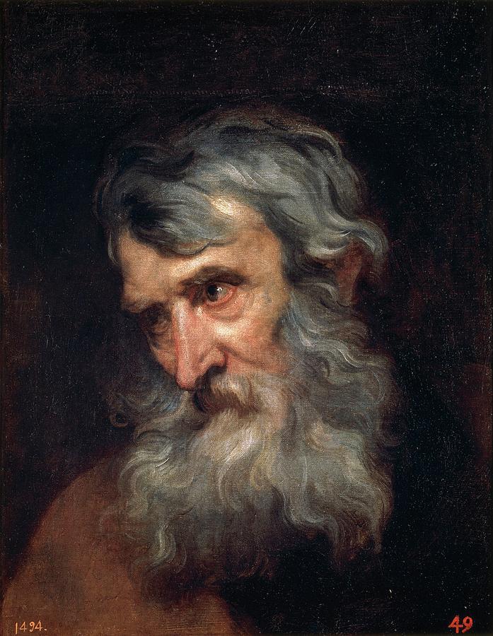 The Head of an Old Man, 1618-1620, Flemish School, Oil on canvas, 47 cm x 36... Painting by Anthony van Dyck -1599-1641-