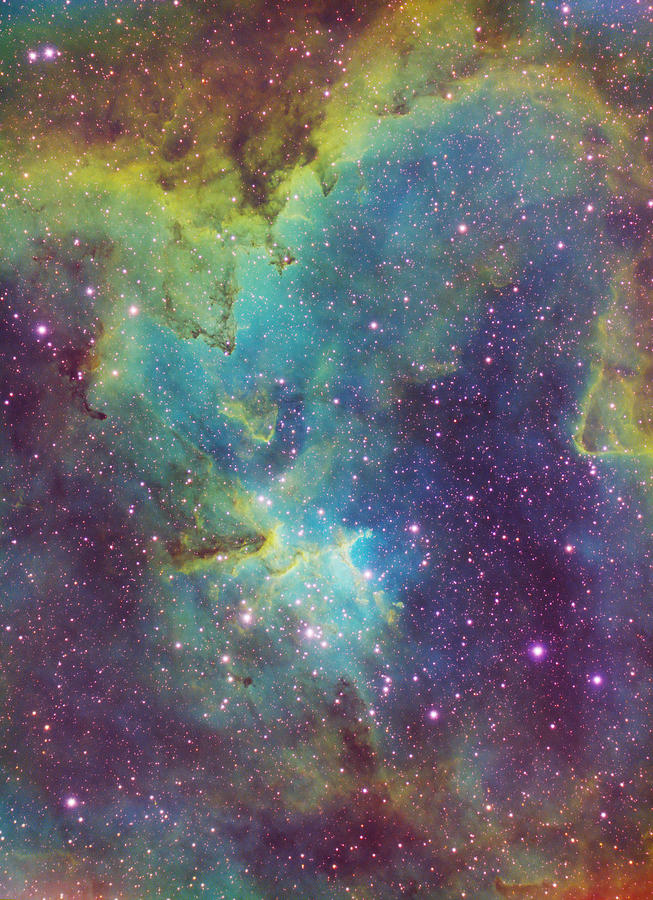 The Heart Nebula Photograph by David Dayag
