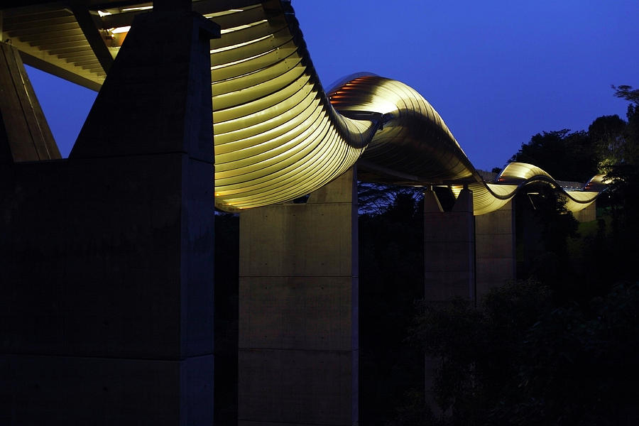 The Henderson Waves Bridge is Pictured Photograph by Tim Chong - Fine ...