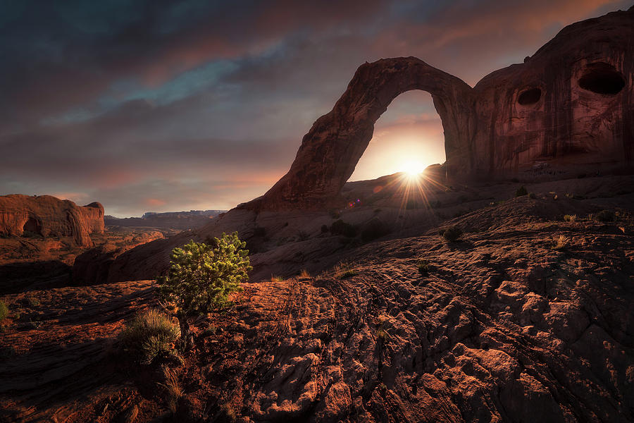 Arches National Park Photograph - The Hidden Face by Carlos F. Turienzo