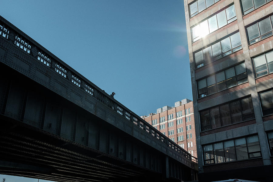 The High Line in NYC Photograph by Doug Ash