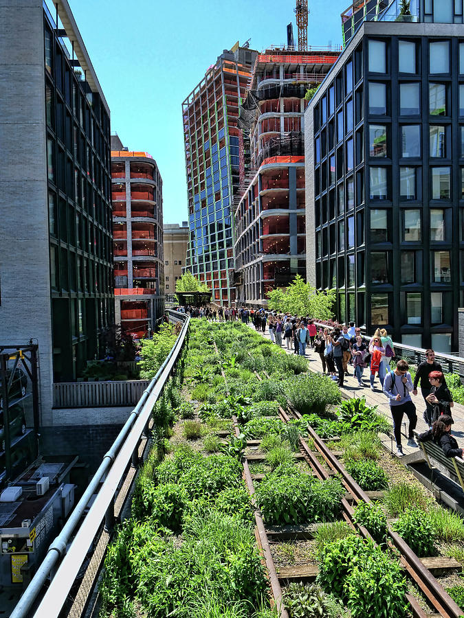 The Highline - N Y C by Allen Beatty The Highline - N Y C by Allen Beatty