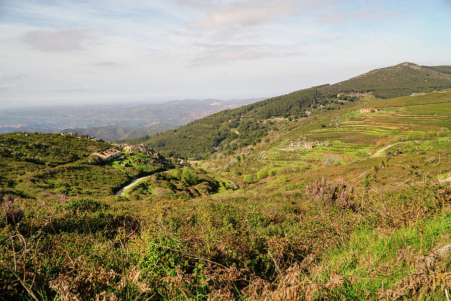 The Hills of Algarve Photograph by Joanna Machel - Fine Art America