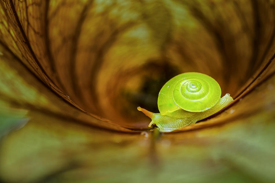 Nature Photograph - The Hole by Sabriamin M