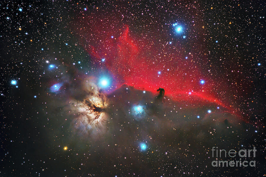 Space Photograph - The Horse Head And Flame Nebulae In Orion by Miguel Claro/science Photo Library